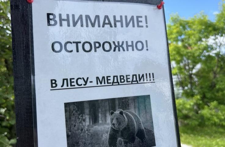 Первый Байкальский