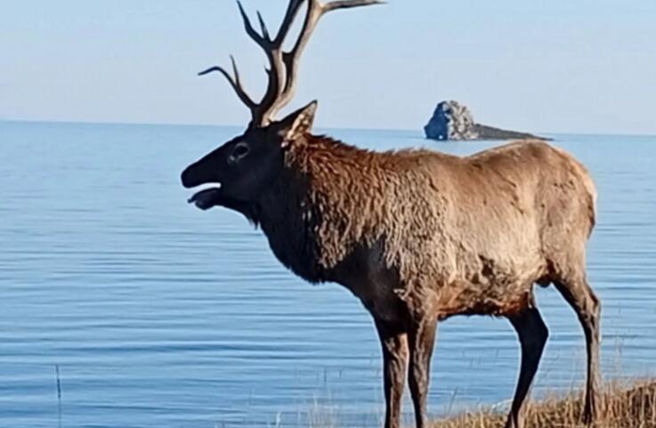 Первый Байкальский