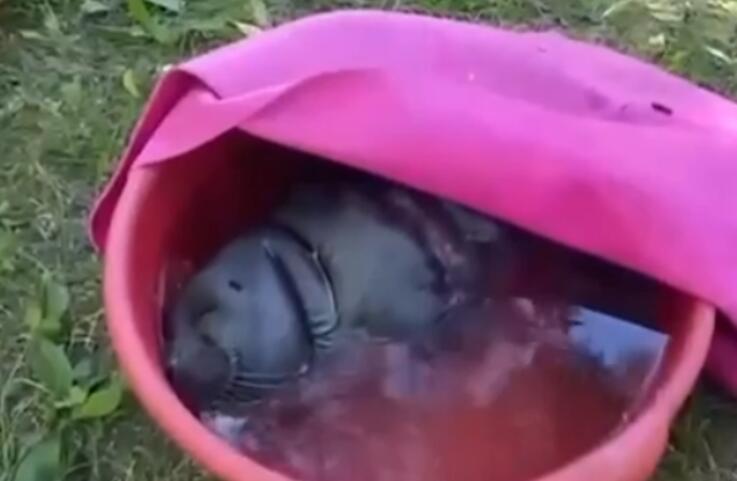 Первый Байкальский