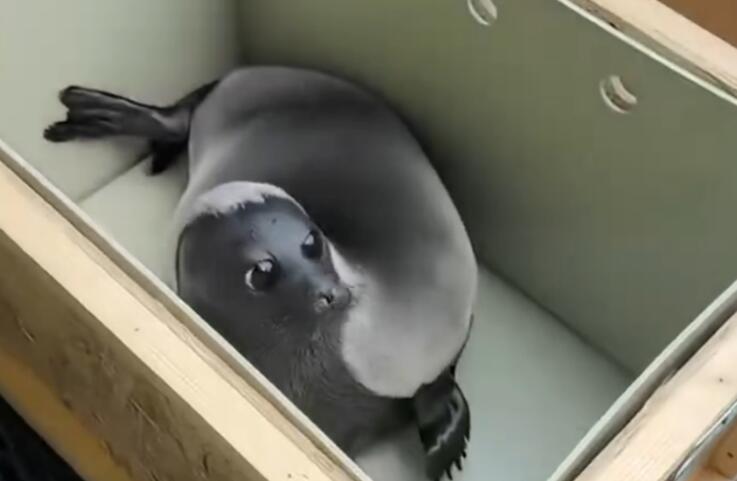 Первый Байкальский