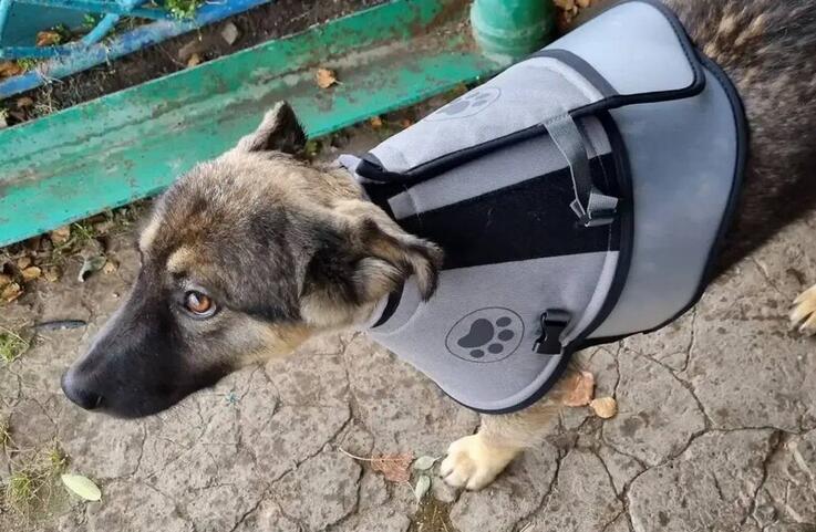 Первый Байкальский