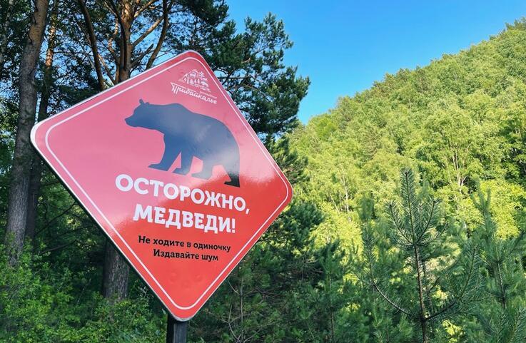 Первый Байкальский