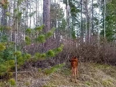 Более 1000 километров на сапах проплыли двое туристов до Байкала