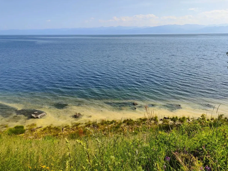 На Байкале у берега появилась желтая вода: специалисты объяснили причину