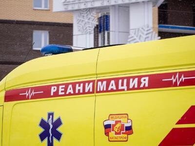 Байкальских рачков превратят в «живые датчики» состояния воды