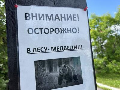 Еще в двух территориях Иркутской области ввели режим повышенной готовности из-за медведей
