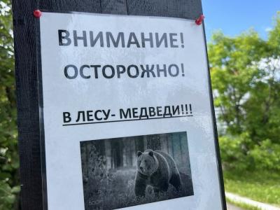2648 человек посетили День Байкала в усадьбе Сукачева