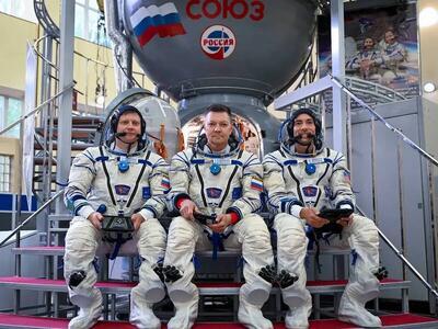 Медведь разгромил школу в Качугском округе