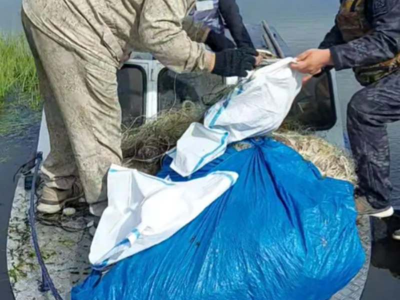 На Байкале очистили более 26 тысяч квадратных метров дна от рыболовных сетей